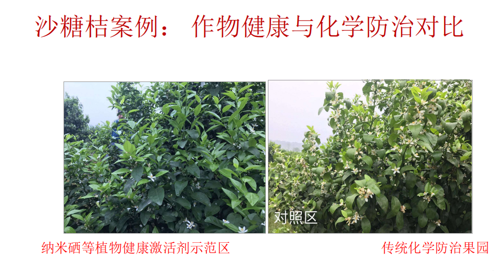 微信图片_20191022143613.png