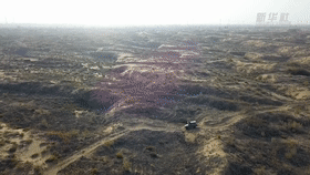 1210857056_16036126360301n.gif