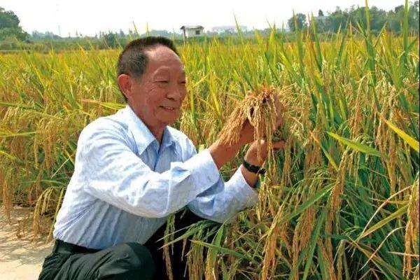 src=http---img.rednet.cn-2019-09-06-b831d2e9-a692-4f3a-9af9-931752ce032c.jpg&refer=http---img.rednet.cn&app=2002&size=f9999,10000&q=a80&n=0&g=0n&fmt=jpeg.jpeg