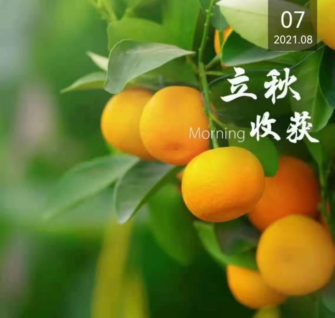 47511628296516_.pic.jpg