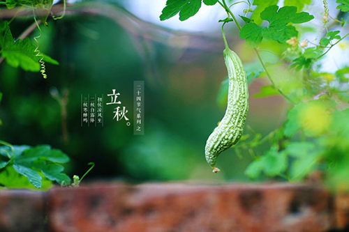 src=http---8082091.s21i.faiusr.com-2-ABUIABACGAAg9c606gUokrL3twMw9AM4zQI.jpg&refer=http---8082091.s21i.faiusr.com&app=2002&size=f9999,10000&q=a80&n=0&g=0n&fmt=jpeg.jpeg