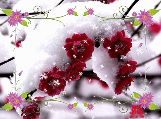 src=http___5b0988e595225.cdn.sohucs.com_images_20191209_c6d96e8ee6364ce0ac9ecb8511924d27.gif&refer=http___5b0988e595225.cdn.sohucs.gif