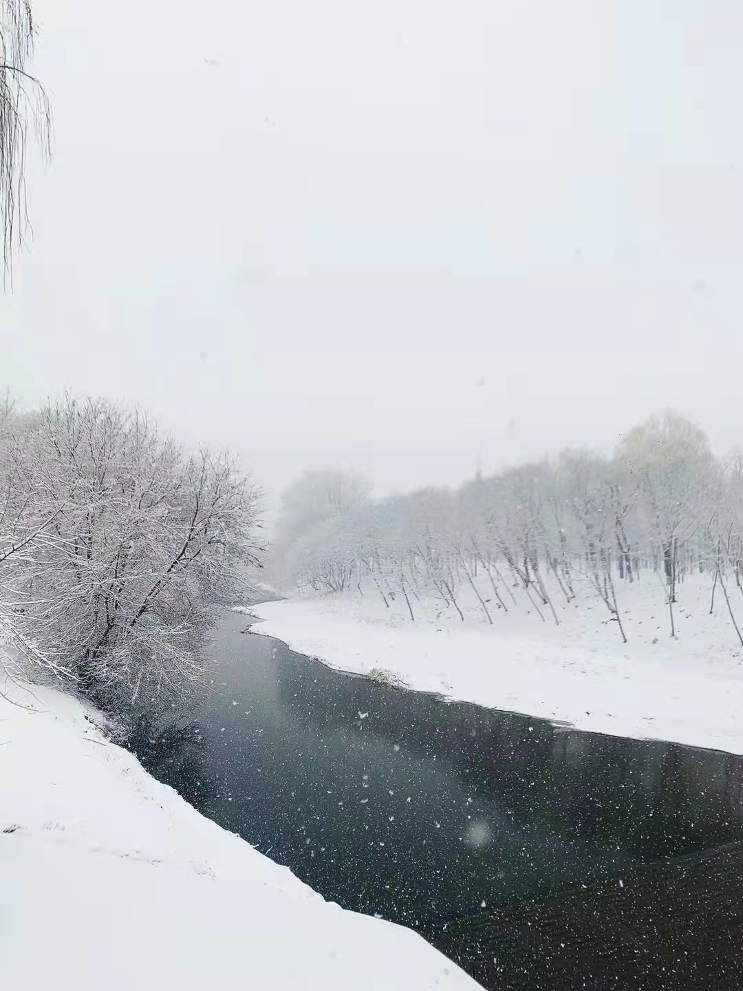 102271647607132_.pic.jpg