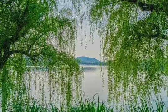 114651651973268_.pic.jpg