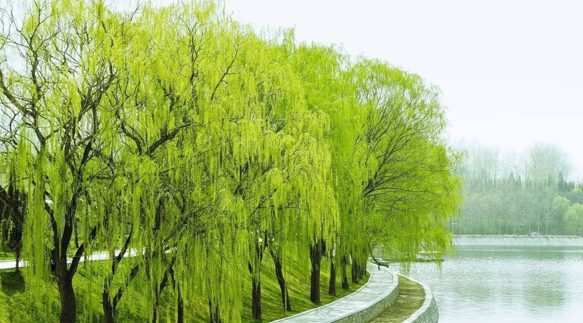 src=http---gss0.baidu.com--4o3dSag_xI4khGko9WTAnF6hhy-zhidao-pic-item-0df431adcbef7609879c300f22dda3cc7dd99e8f.jpg&refer=http---gss0.baidu.com&app=2002&size=f9999,10000&q=a80&n=0&g=0n&fmt=auto.jpeg