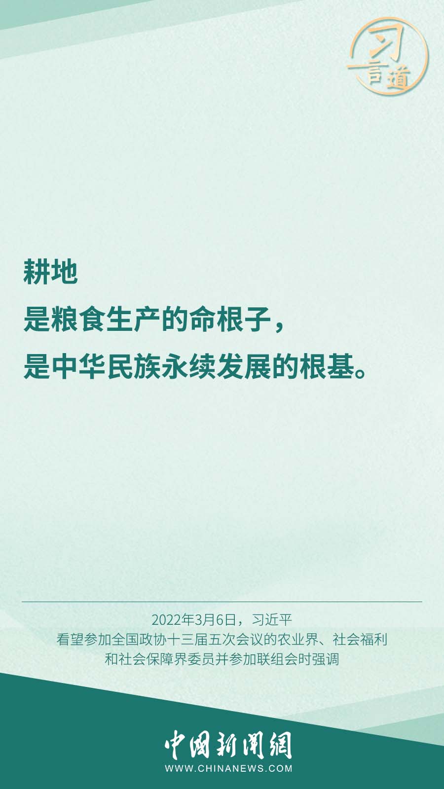 13002599362132442030.jpg