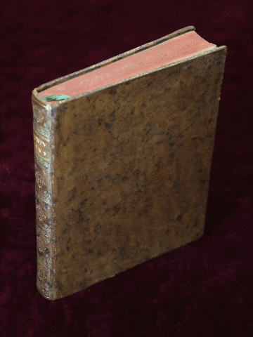 image.gif