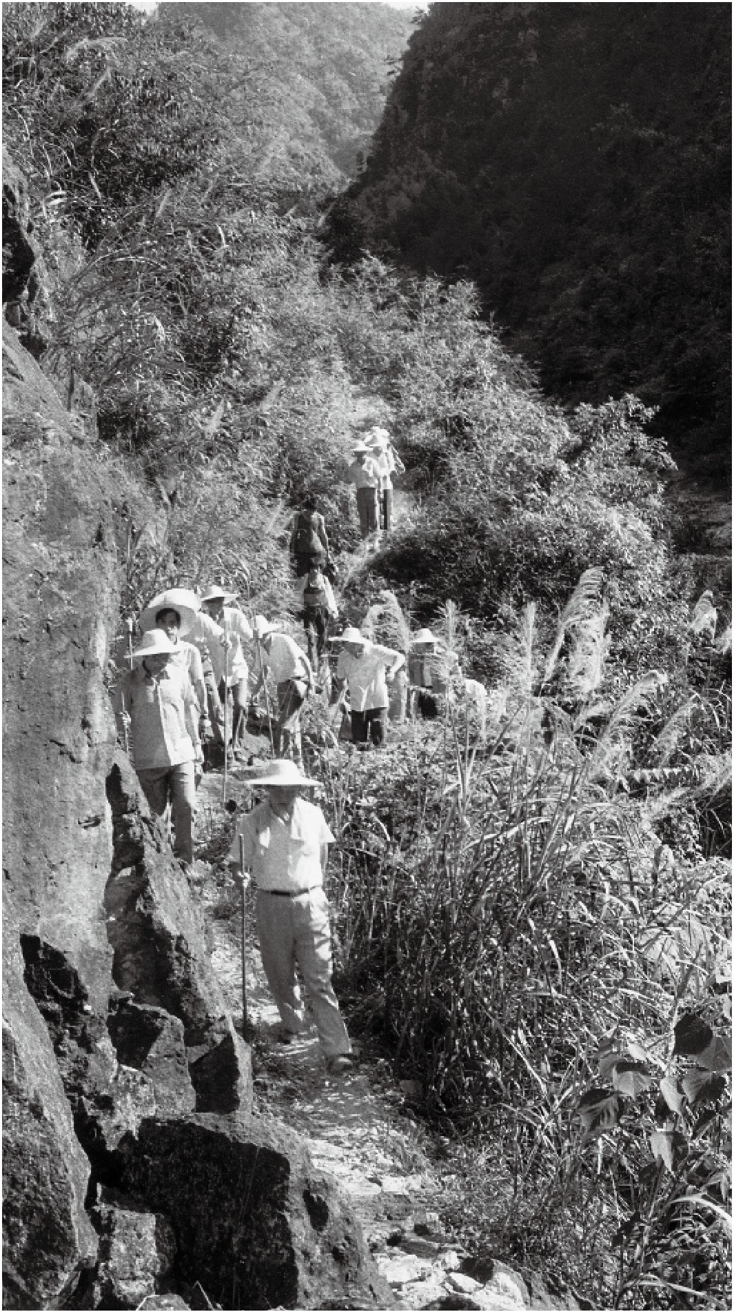 1761720998964732.jpg 1761718978418186.jpg