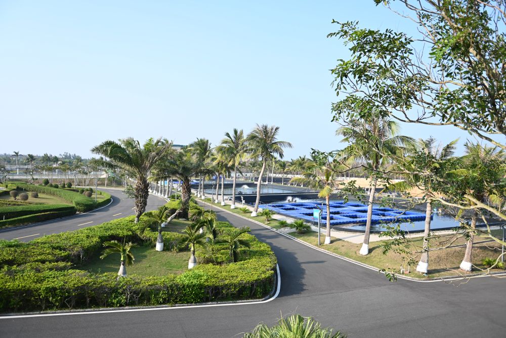 1766287373851388.jpg 7537368105217595852.jpg