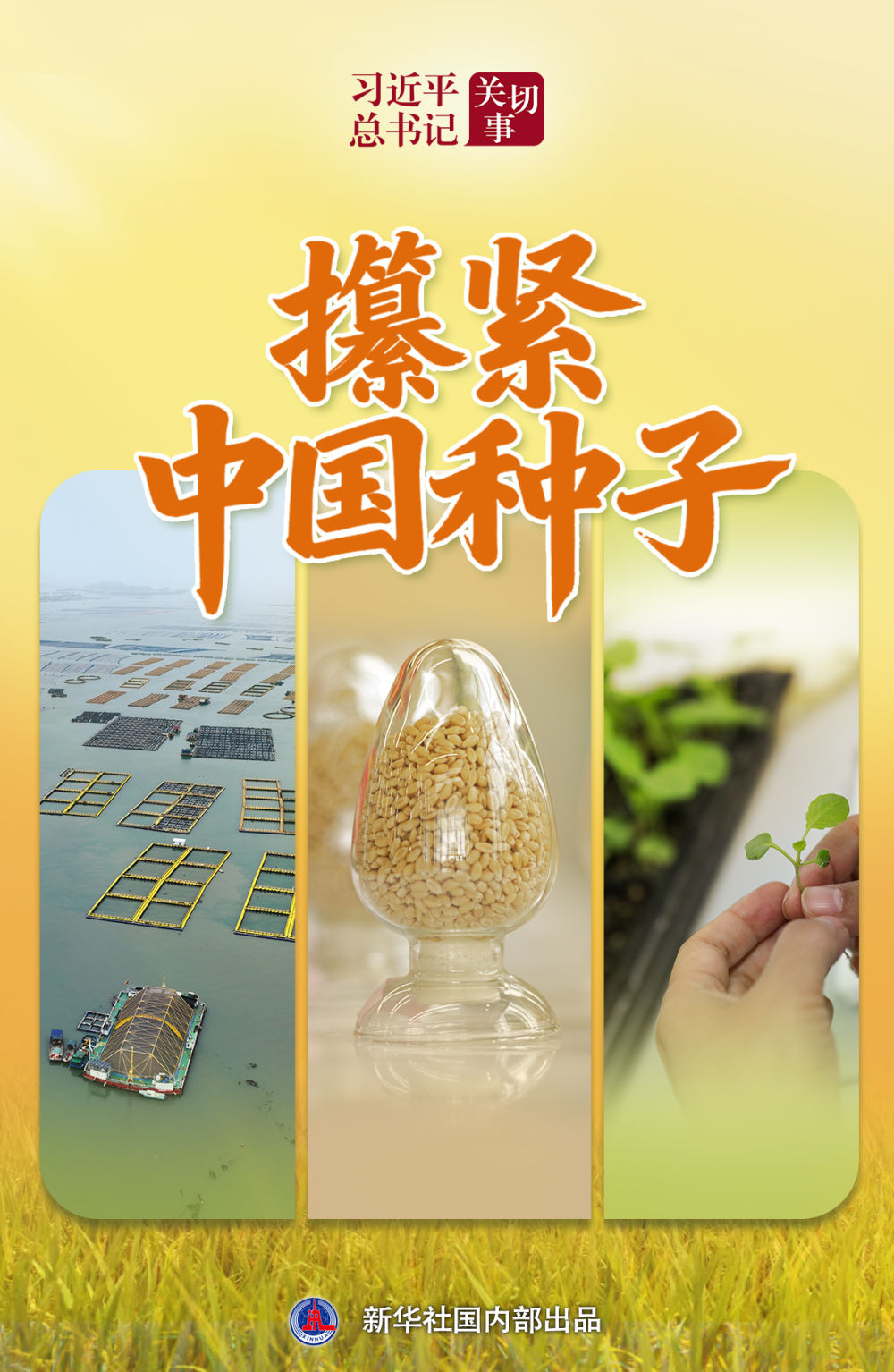 1766287404800955.jpg 14426312894677550830.jpg