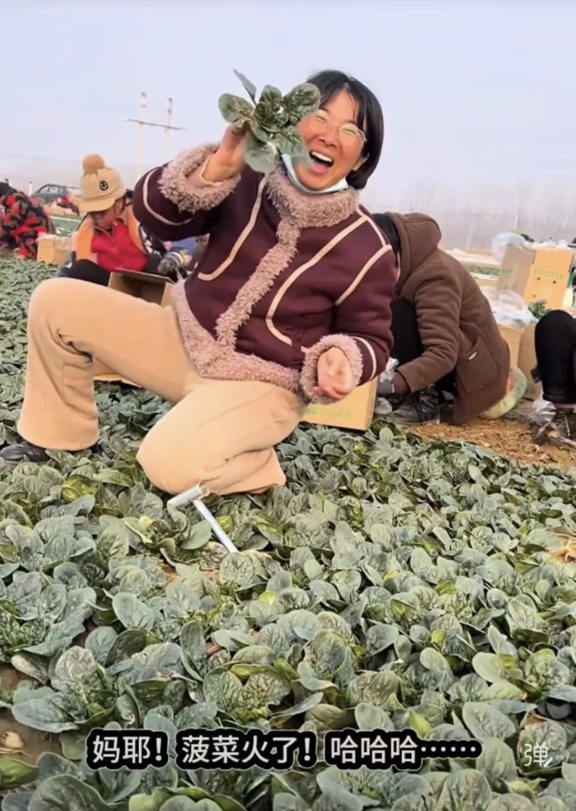 1768287569438379.jpg 12201768286692_.pic.jpg