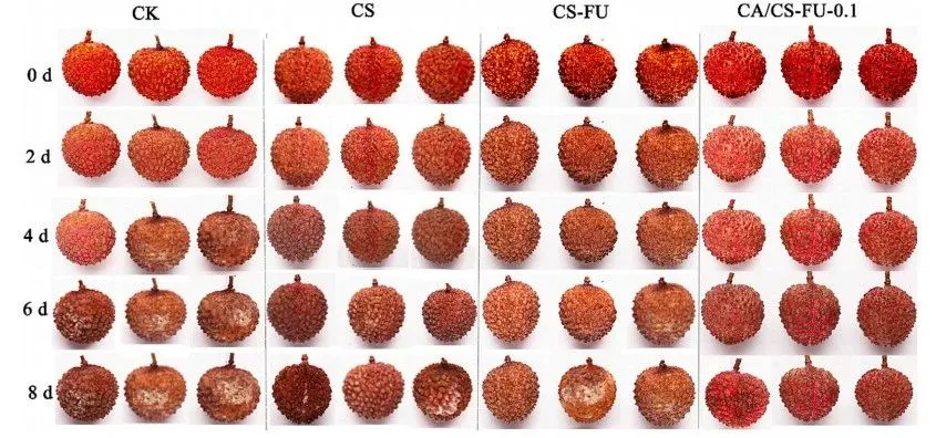 1768290647126371.png image.png