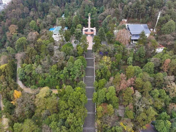 1775438610824490.jpg 0144bfc916fc029504a5cd5b34a55f1f.jpg