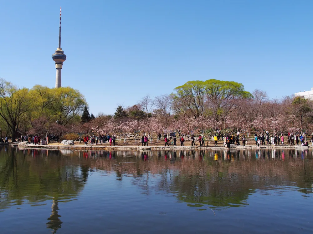 1775810250664752.png 17ff12ee2999dc09811390820130be20.png