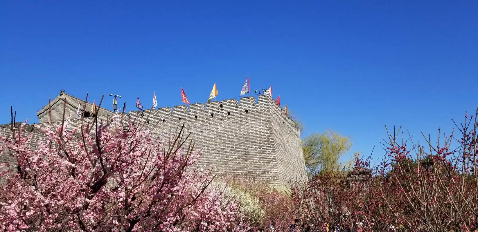 1775810305359892.png 3af0d5b8a205c5379953eed2fd0efe4b.png