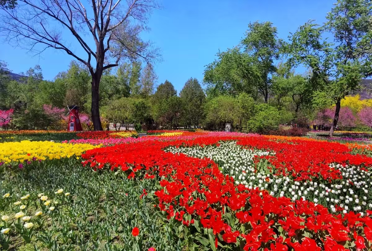 1775810794783700.jpg a25c5ab4bb8c5a424f01489c572fa34b.jpg