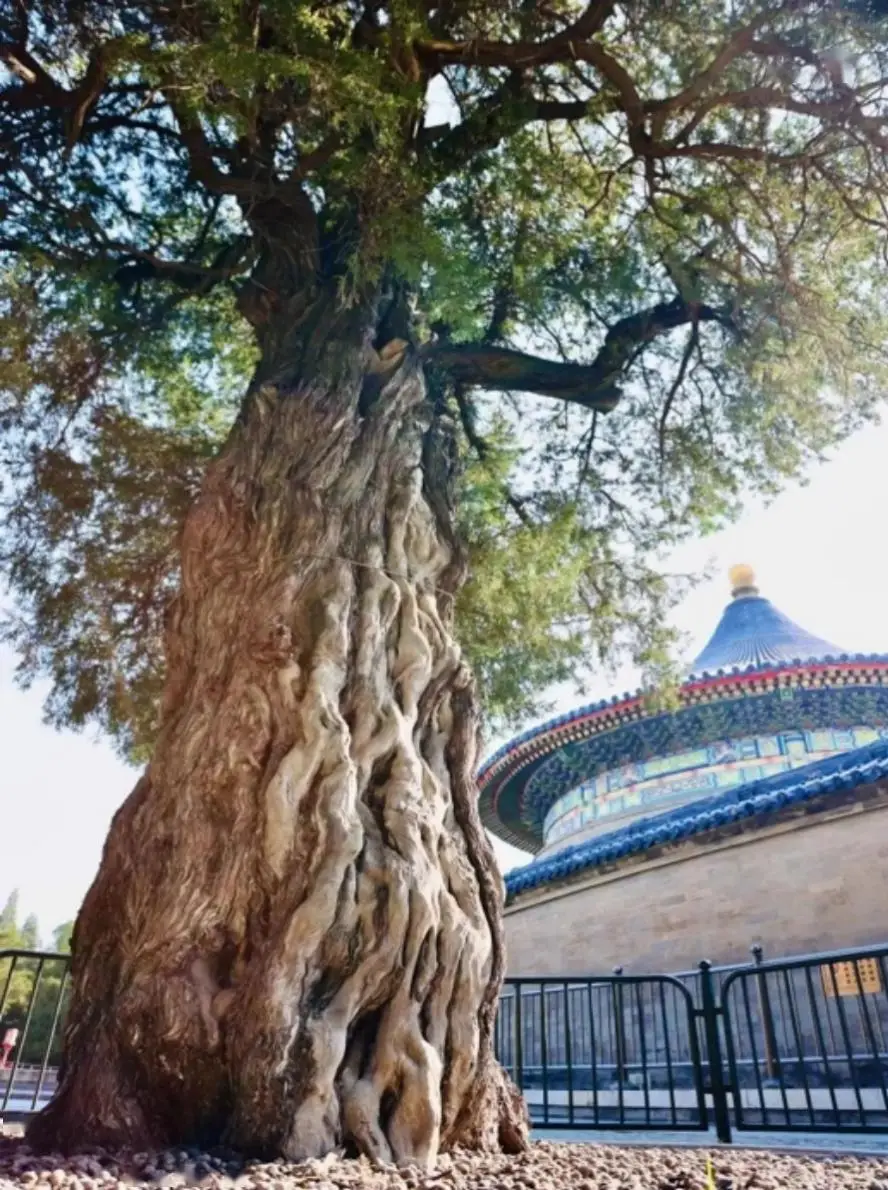 1775811066375531.png 27b47a847d78db0360c5d61dd9f2fb49.png