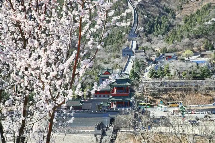 1775811560168272.png 400ae5fe0c0eeb6471716ec0e21f3e5a.png